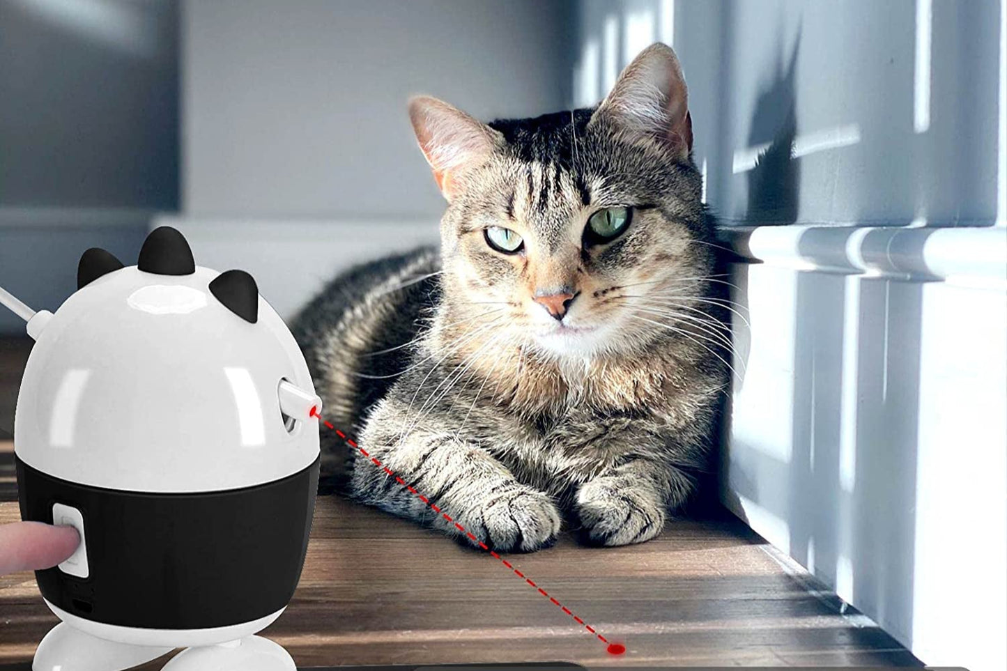 Cat Toys Interactive, Cat Light Toy and Cat Feather Toys 2 in 1, Recharge Cat Exercise Toys for Indoor Cats Automatic Cat Toys Interactive for Kitten