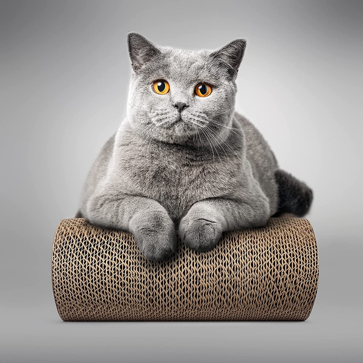 Cat Scratcher Lounge, Reversible Cat Scratching Board, Cardboard Scratcher, Premium Scratch Post, Durable Scratchers, Scratching Bed (XXL)