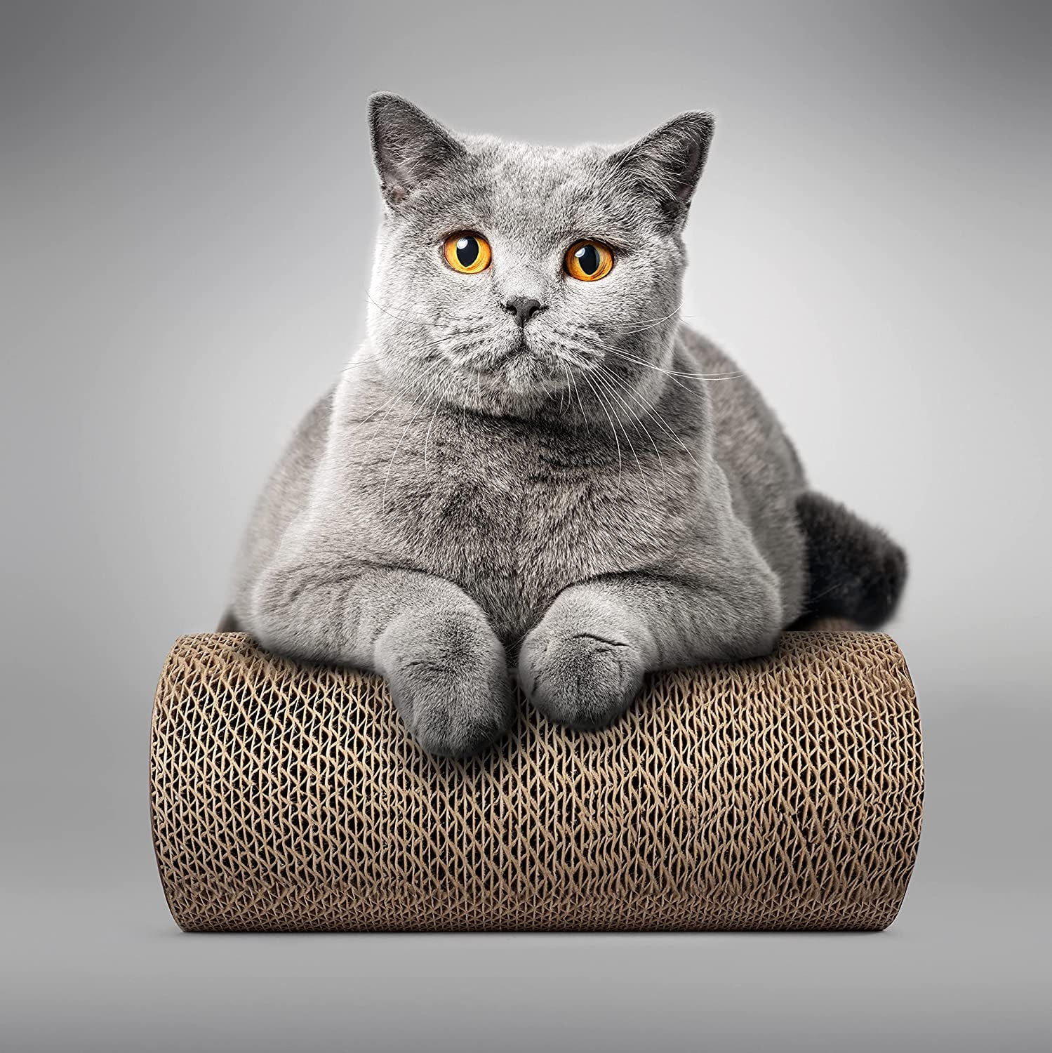 Cat Scratcher Lounge, Reversible Cat Scratching Board, Cardboard Scratcher, Premium Scratch Post, Durable Scratchers, Scratching Bed (XXL)