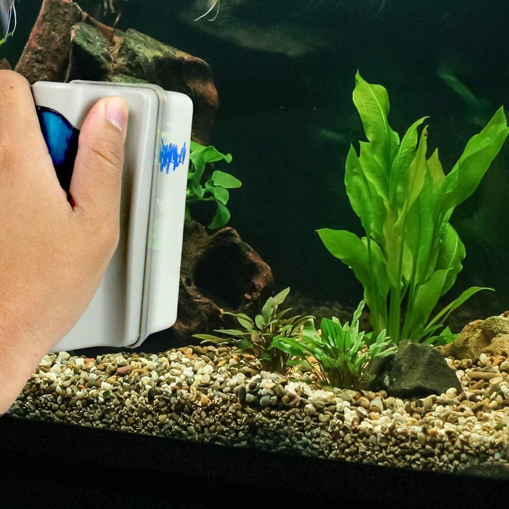 Magnetic Glass Algae Scraper and Aquarium Cleaner for Tanks up to 30 Gallons
